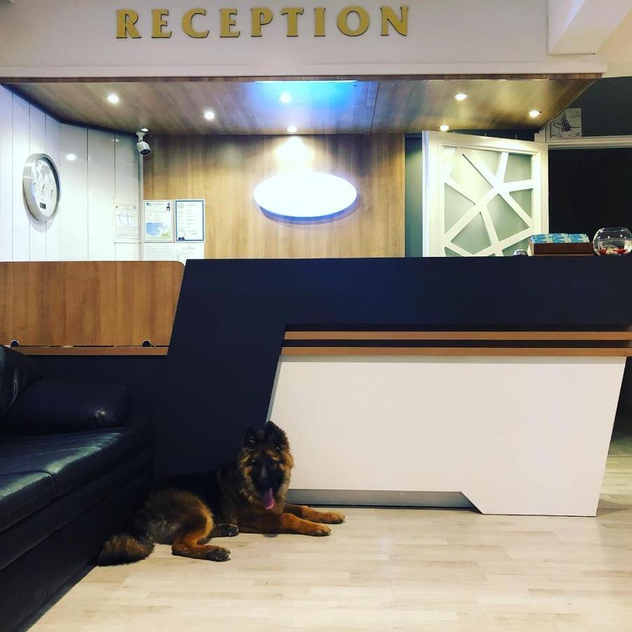 Otel Denizyildizi フェティエ エクステリア 写真